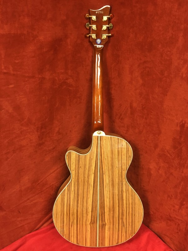 ESP LTD XTONE XEWZ EXOTIC WOOD ZEBRAWOOD ACOUSTIC GUITAR. Very Good Buya
