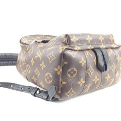 LOUIS VUITTON PALM SPRINGS BACKPACK PM | eBay