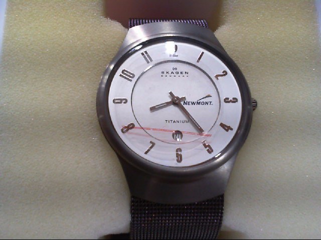 skagen denmark titanium 3atm