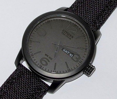 citizen eco drive watch e101