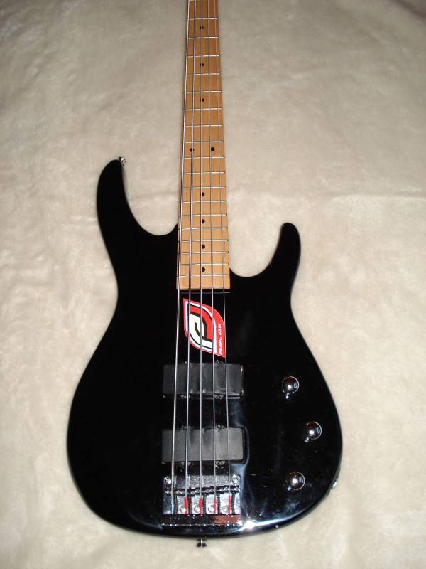 peavey foundation 5 string bass