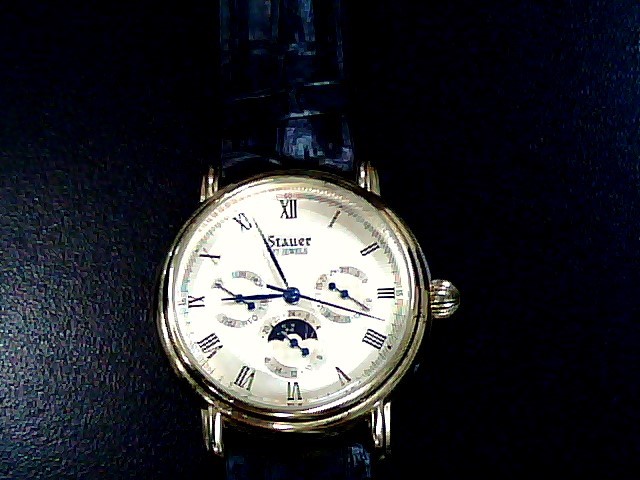 stauer watch 20410