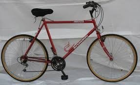 schwinn mirada sport