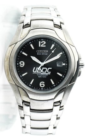 citizen eco drive titanium gmt
