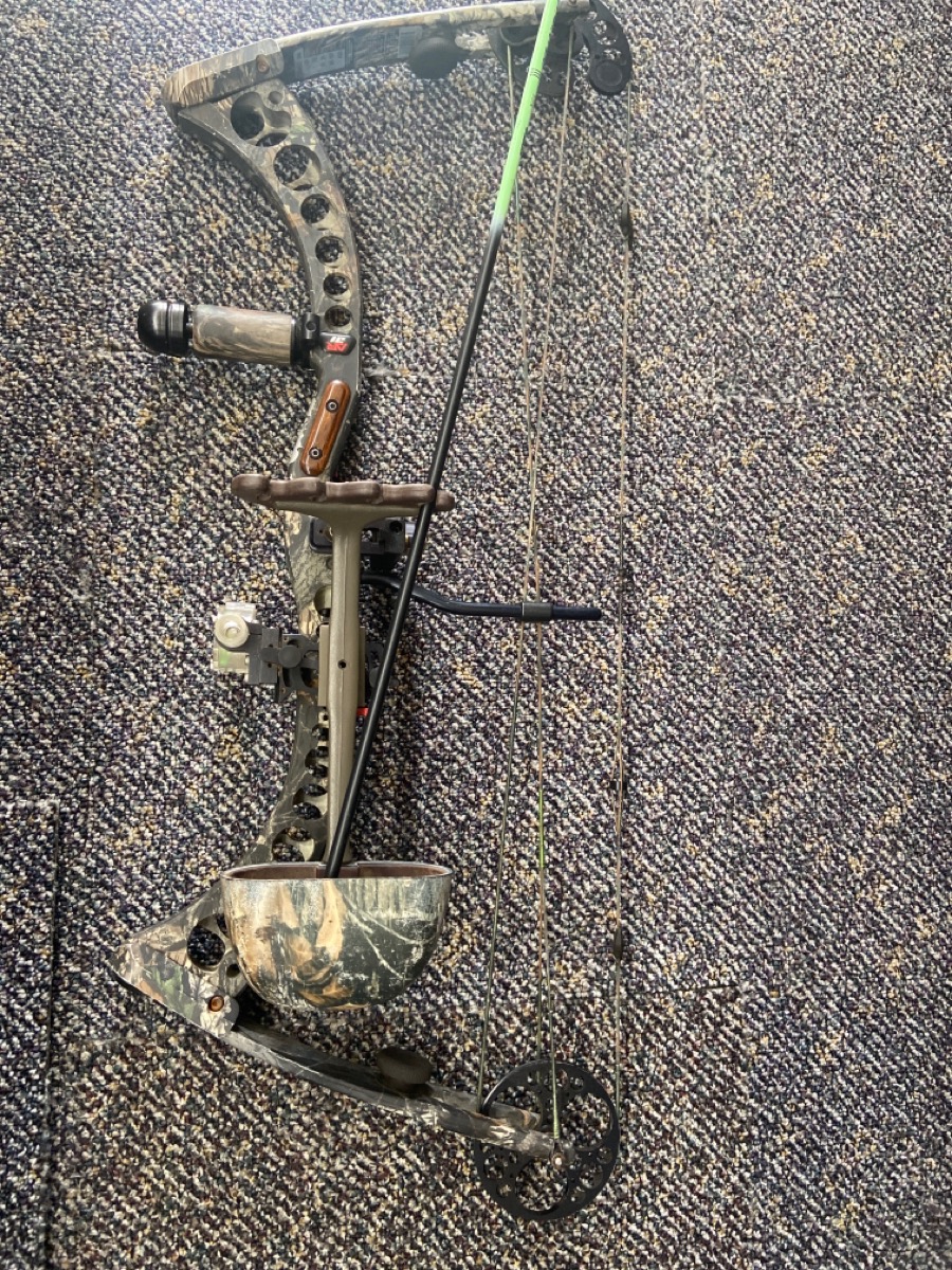 Compound bow for beginners image