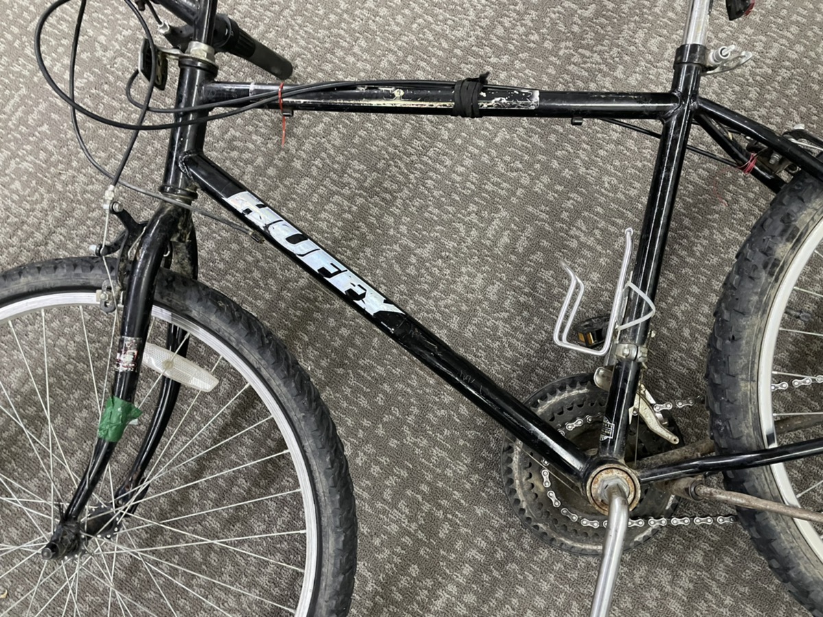 forest park mountain biking