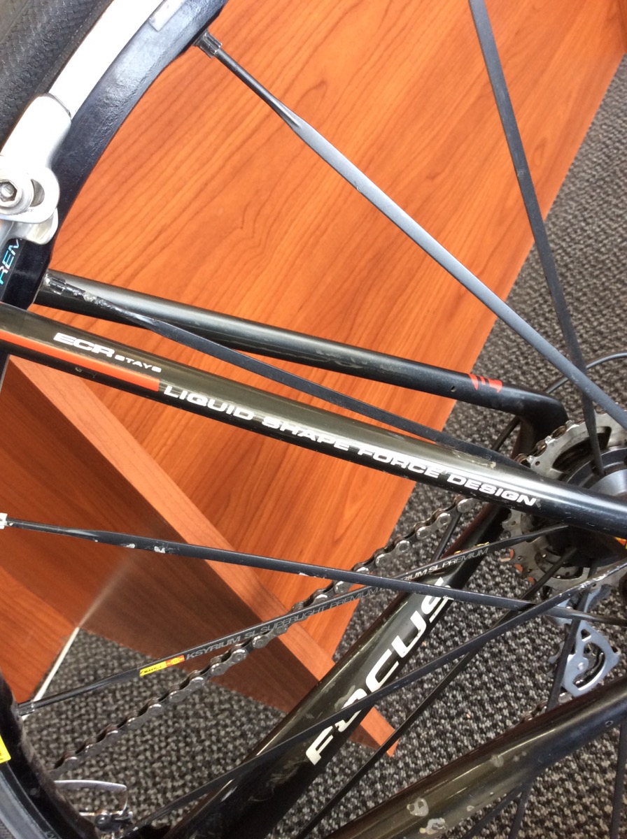 focus izalco funda pro