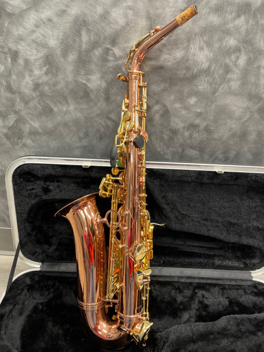 MONIQUE MUSICAL INSTRUMENTS PRO SERIES ALTO SAXOPHONE Very Good