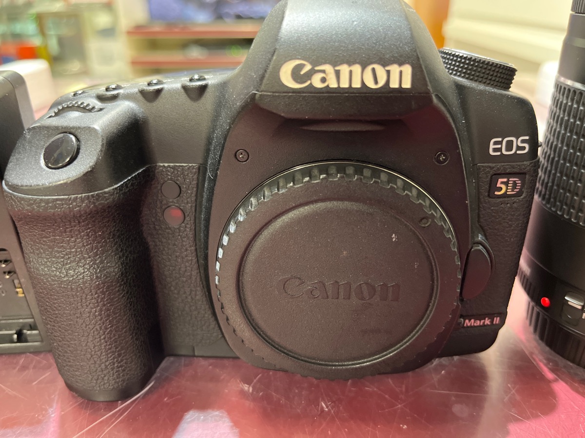 Verscheidenheid Veilig Parameters Canon EOS 5D Mark II 21.1 MP Digital SLR Camera + 2 Lenses Very Good |  Carson Jewelry & Loan | Carson City | NV