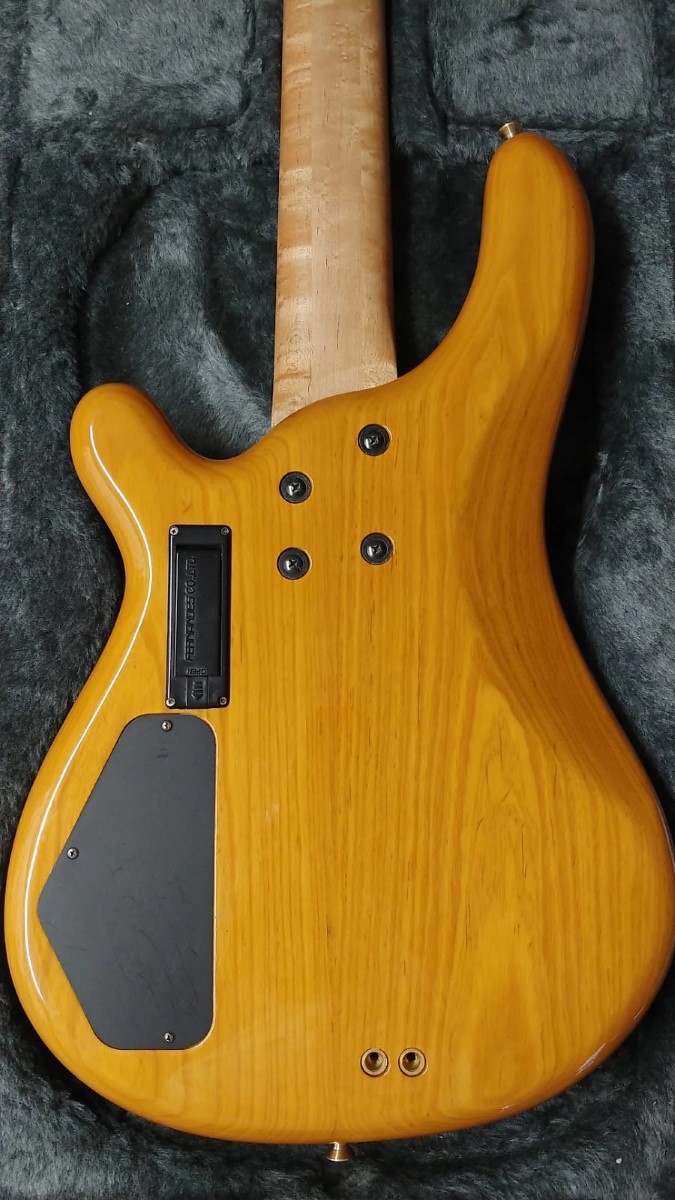 Fernandes APB100 1996 Natural 5 String Fretless Bass Very Good Buya