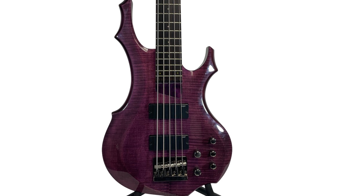 ESP LTD F-155DX 5 String Electric Bass Guitar Very Good | Heartland ...