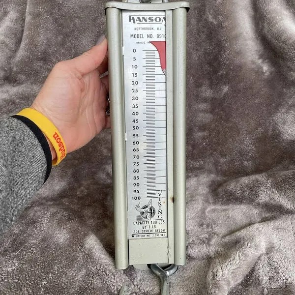 Price Guide HANSON 8910 THE VIKING SCALE Buya