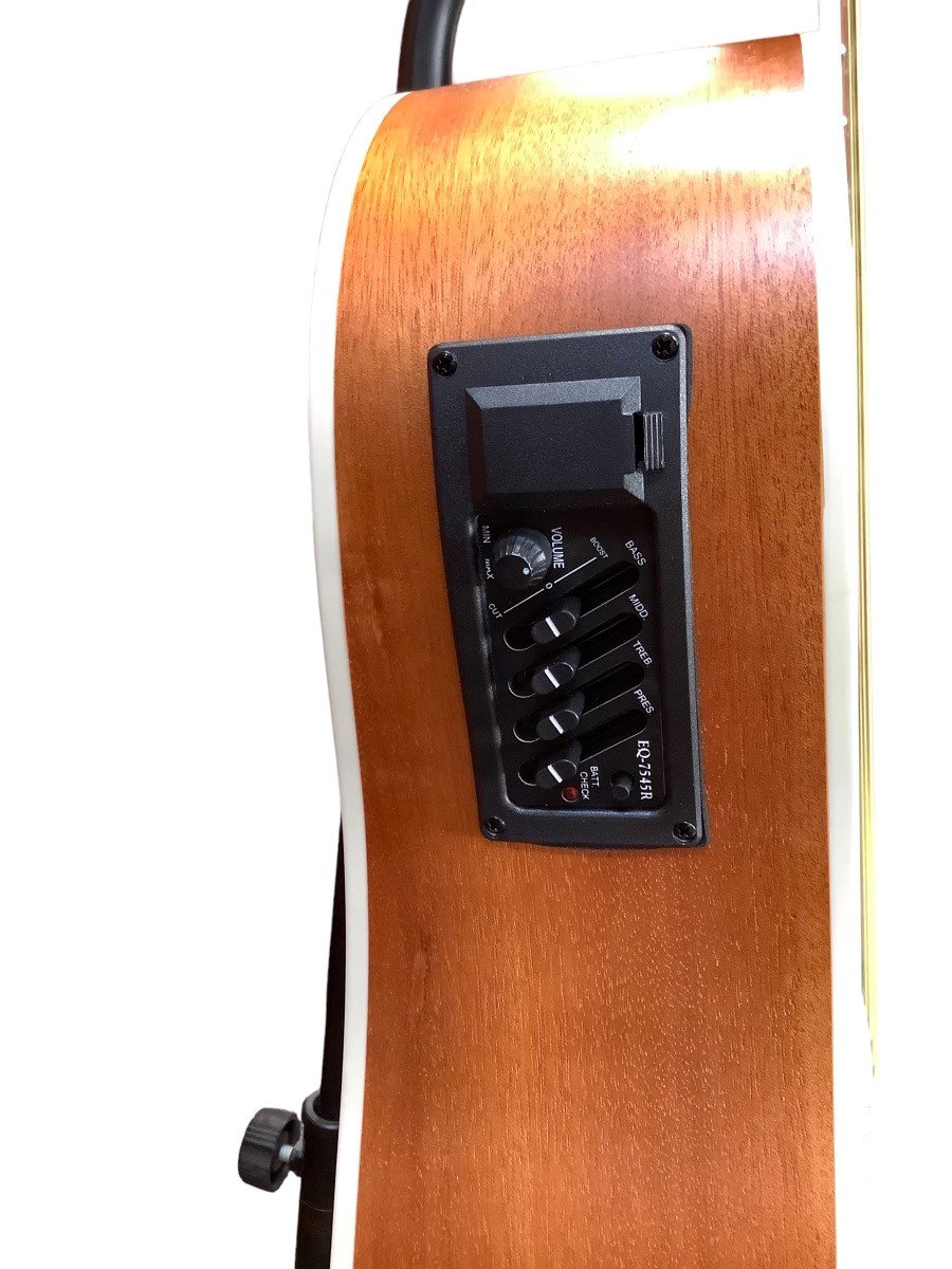 NASHVILLE GUITAR WORKS D10CE Brand New Buya