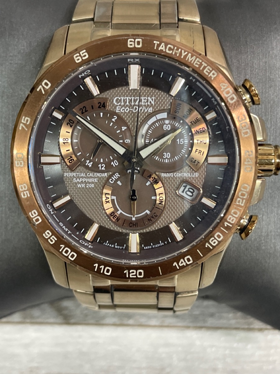 Citizen ECODRIVE E650S086728 Perpetual Calendar Chronograph