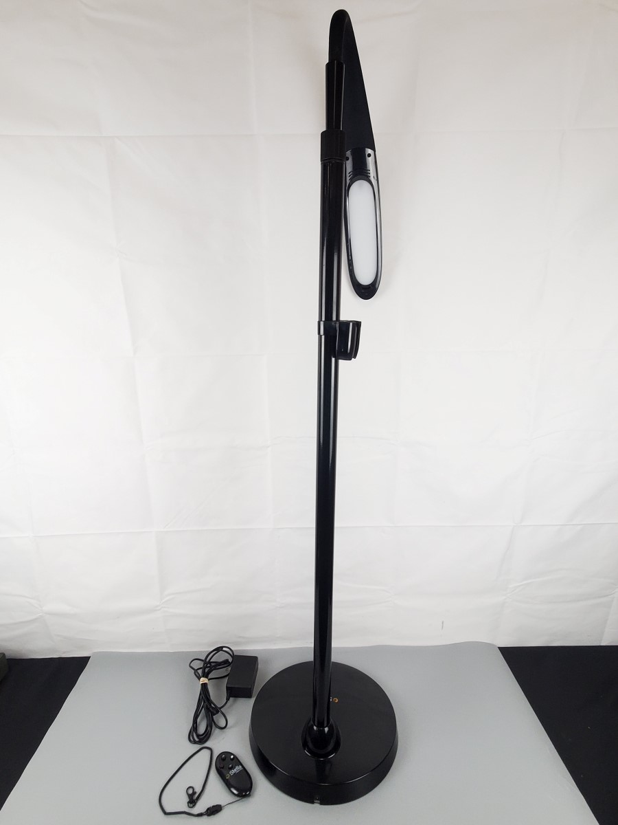 BLACK STELLA SKY TWO FLOOR LAMP Stella Lighting SS210WIM002B