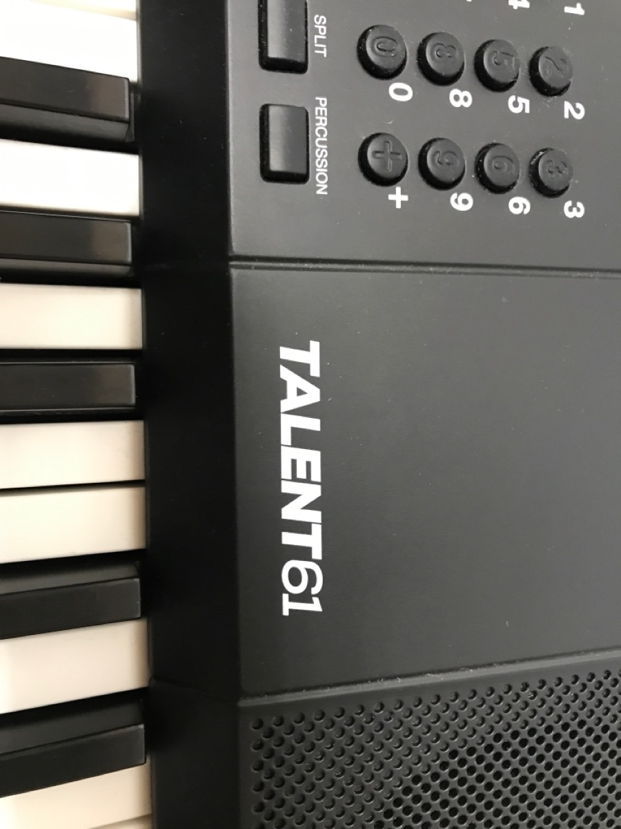 ALESIS TALENT61 KEYBOARD (lels) Very Good Buya