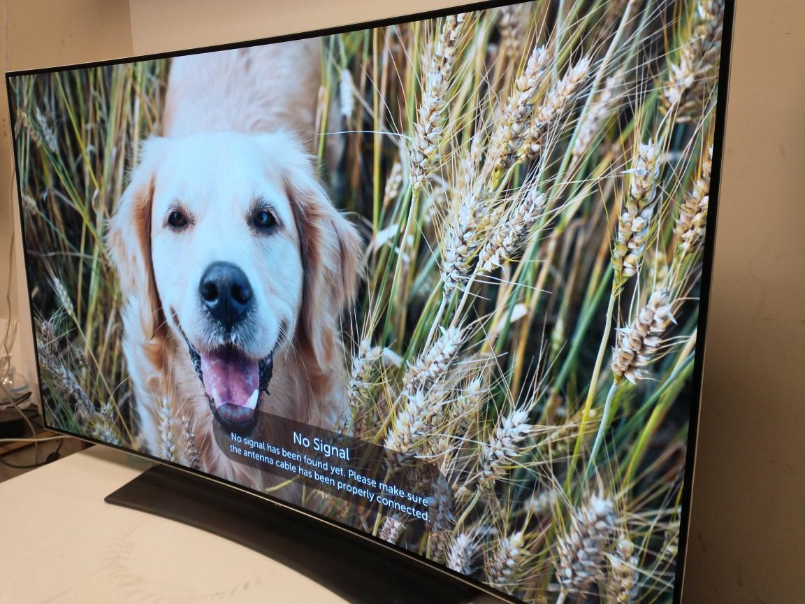 LG OLED65C6P 65" OLED 4K SMART TV NO REMOTE Very Good Buya