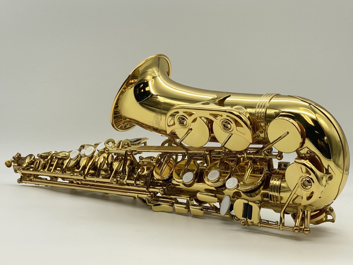 Alpine Woodwinds Alto Saxophone 319 Good Buya Canada