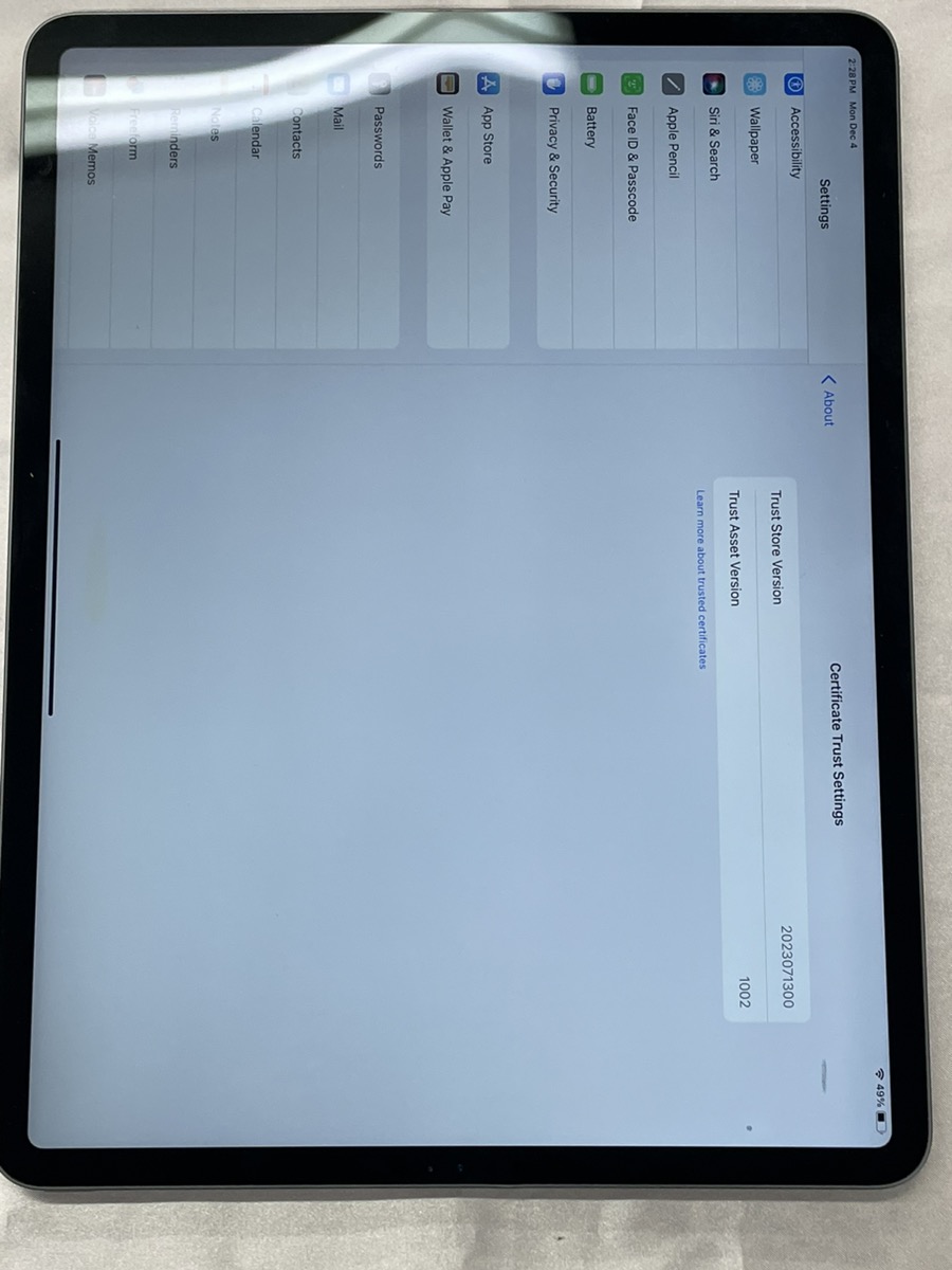 APPLE IPAD PRO MY2H2LL/A 4th Gen 128gb 12.9