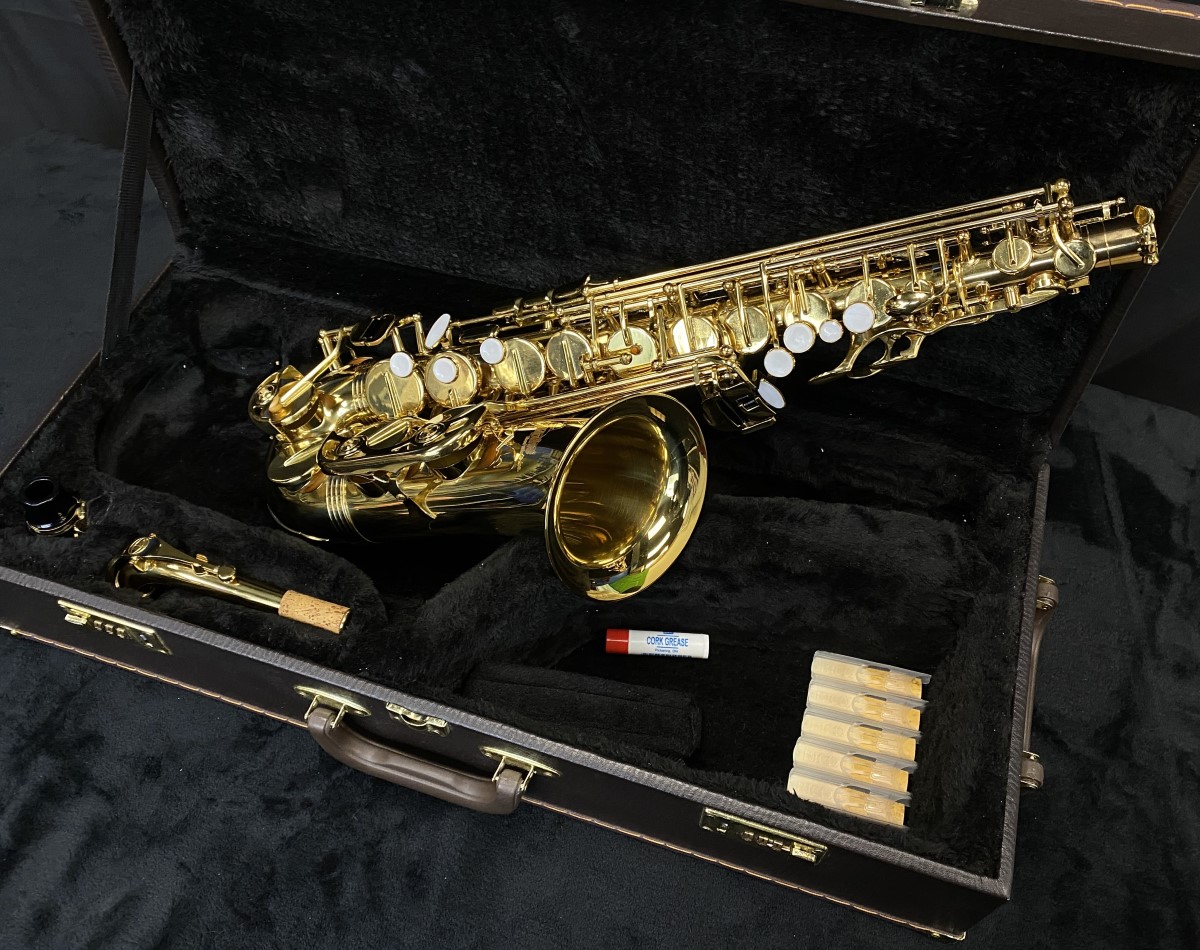 Alpine Woodwinds Alto Saxophone 319 Good Buya Canada