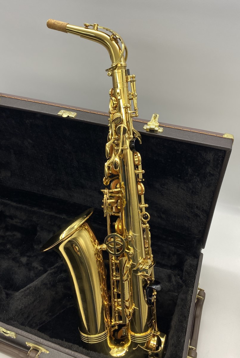 Alpine Woodwinds Alto Saxophone 319 Good Buya Canada