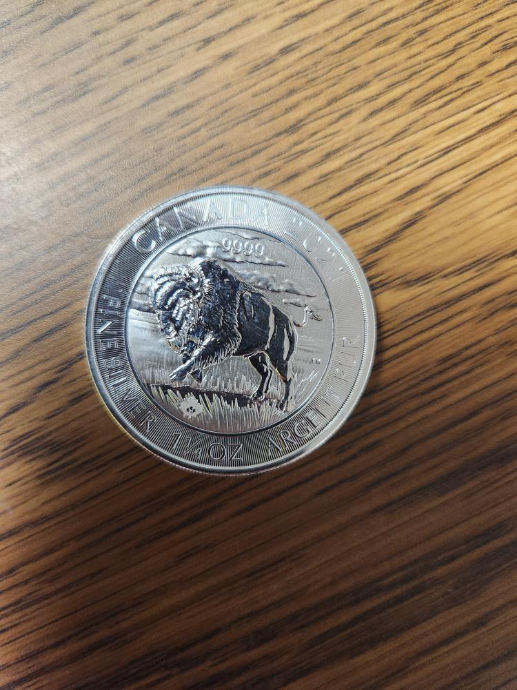 Silver Bison CANADA 1.25 OZ $8 CANADIAN SILVER BISON COIN (BU) Acceptable | Buya