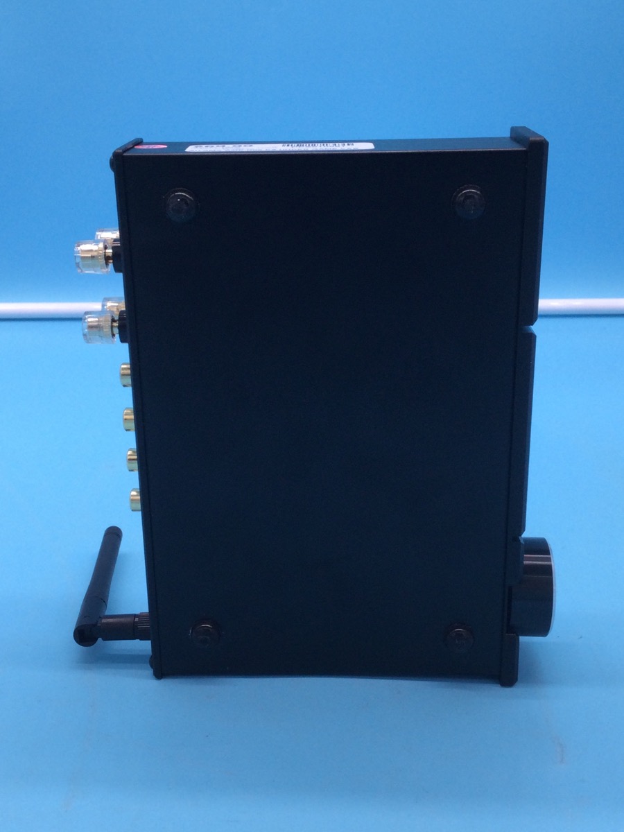 Aiyima Power Amp Model D05 photo 3