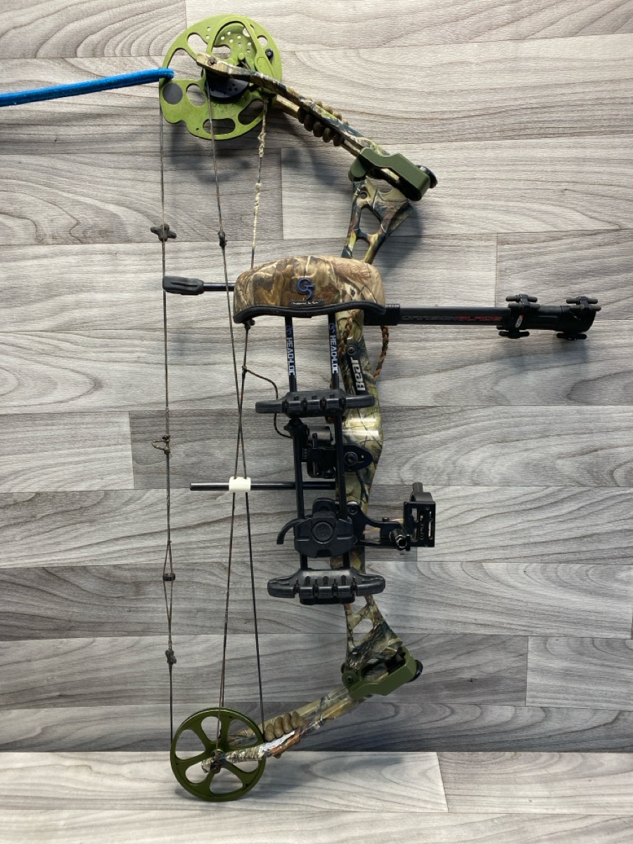 Bear Encounter Compound Bow Good A1 Hawk