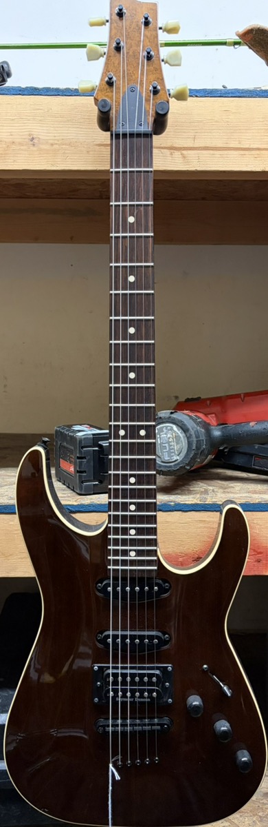 Warmoth Custom Guitar
