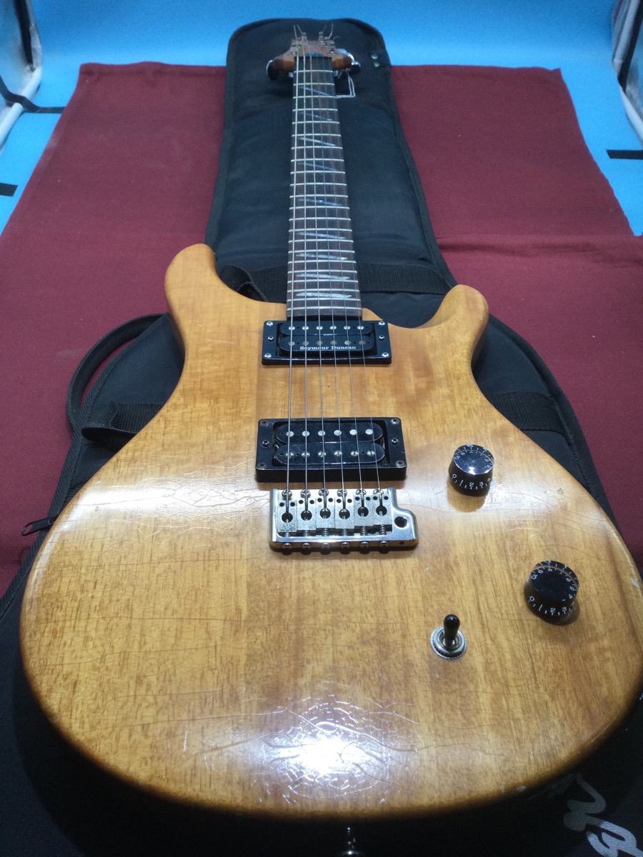 Paul Reed Smith - Prs Electric Guitar with Case