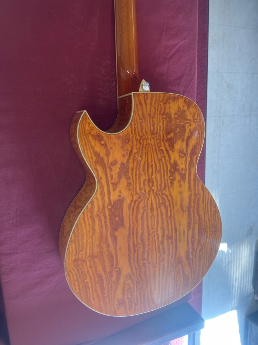 Acoustic Guitar Ibanez Model AES10EAM1202 photo 3