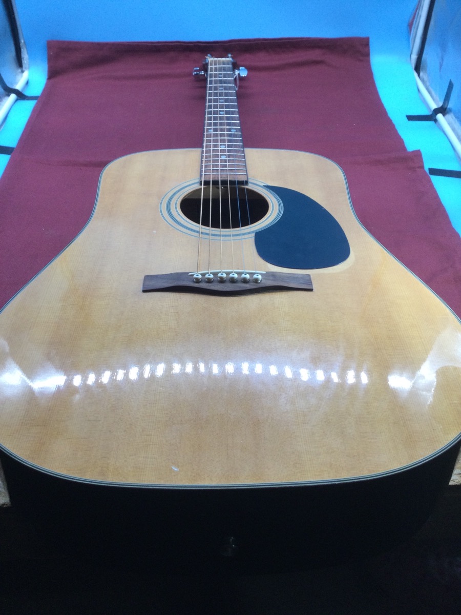 Fender Acoustic Guitar DG31S