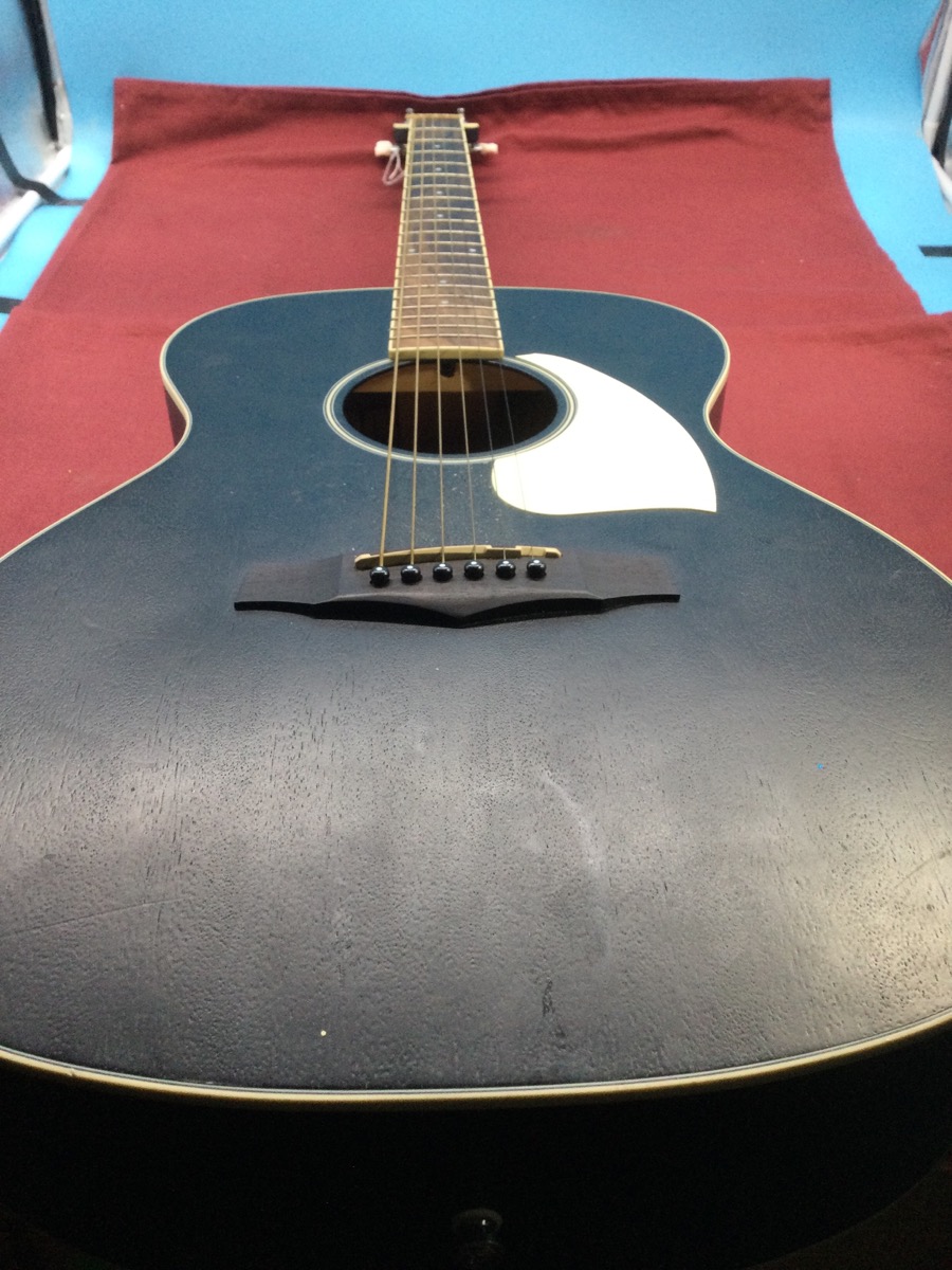 Ibanez Electric-Acoustic Guitar SGT220