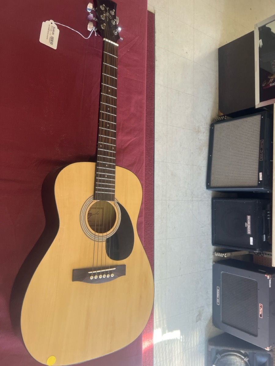 Acoustic Guitar Jay Turser JR