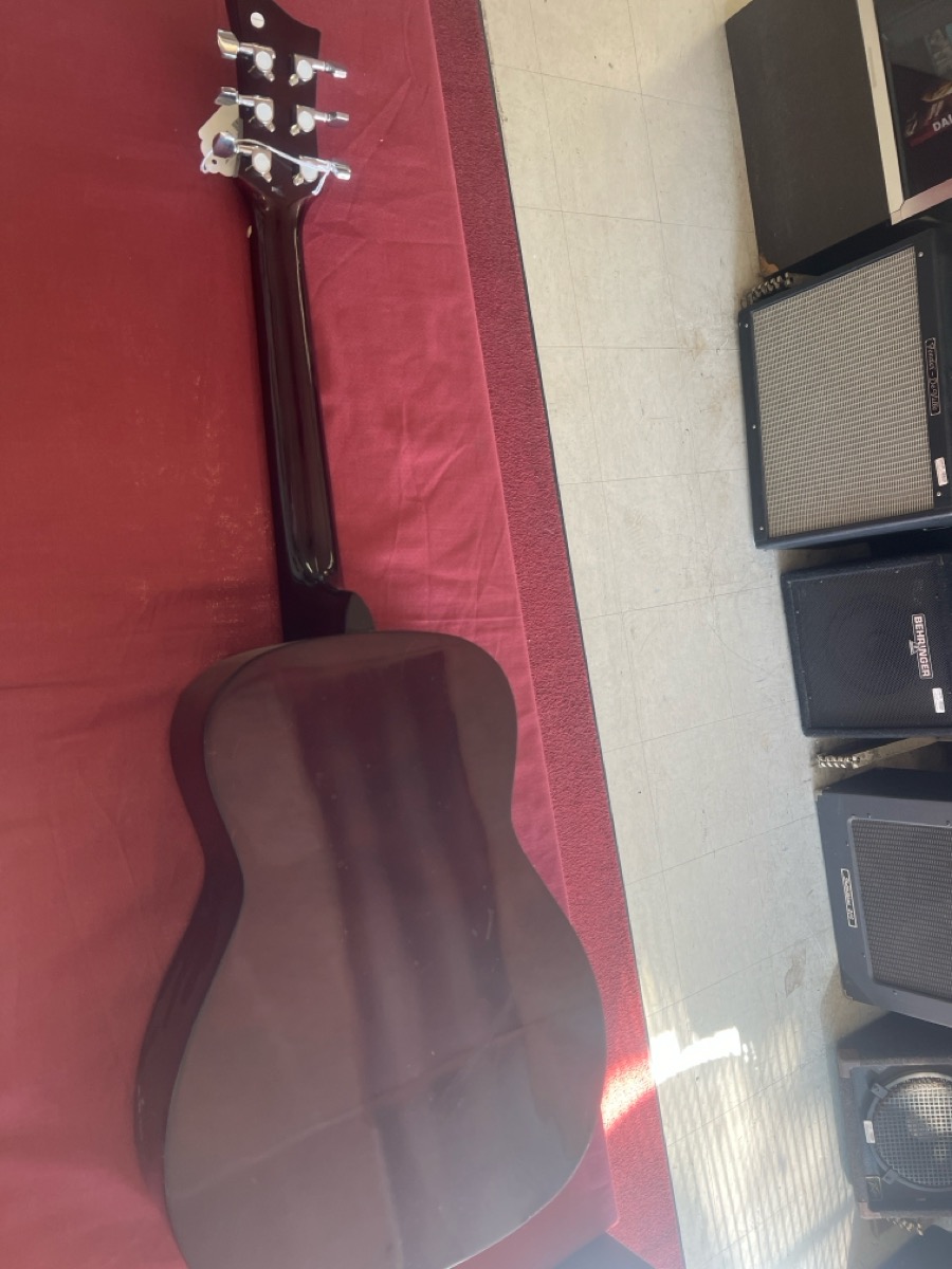 Acoustic Guitar Jay Turser JR photo 2