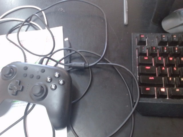 Nintendo Video Game Controller