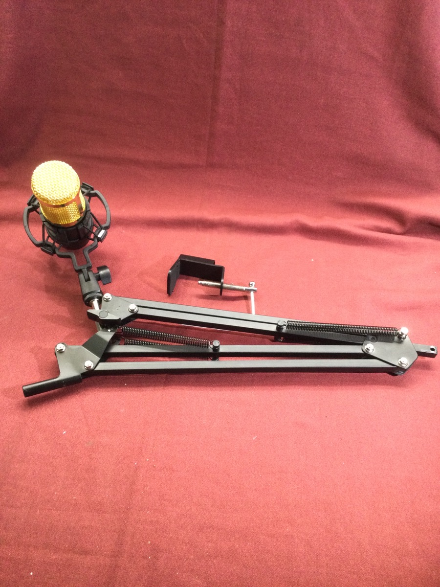 Microphone and Arm Stand