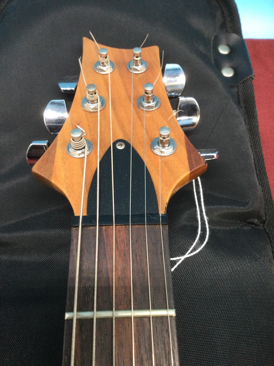 Paul Reed Smith - Prs Electric Guitar with Case photo 4