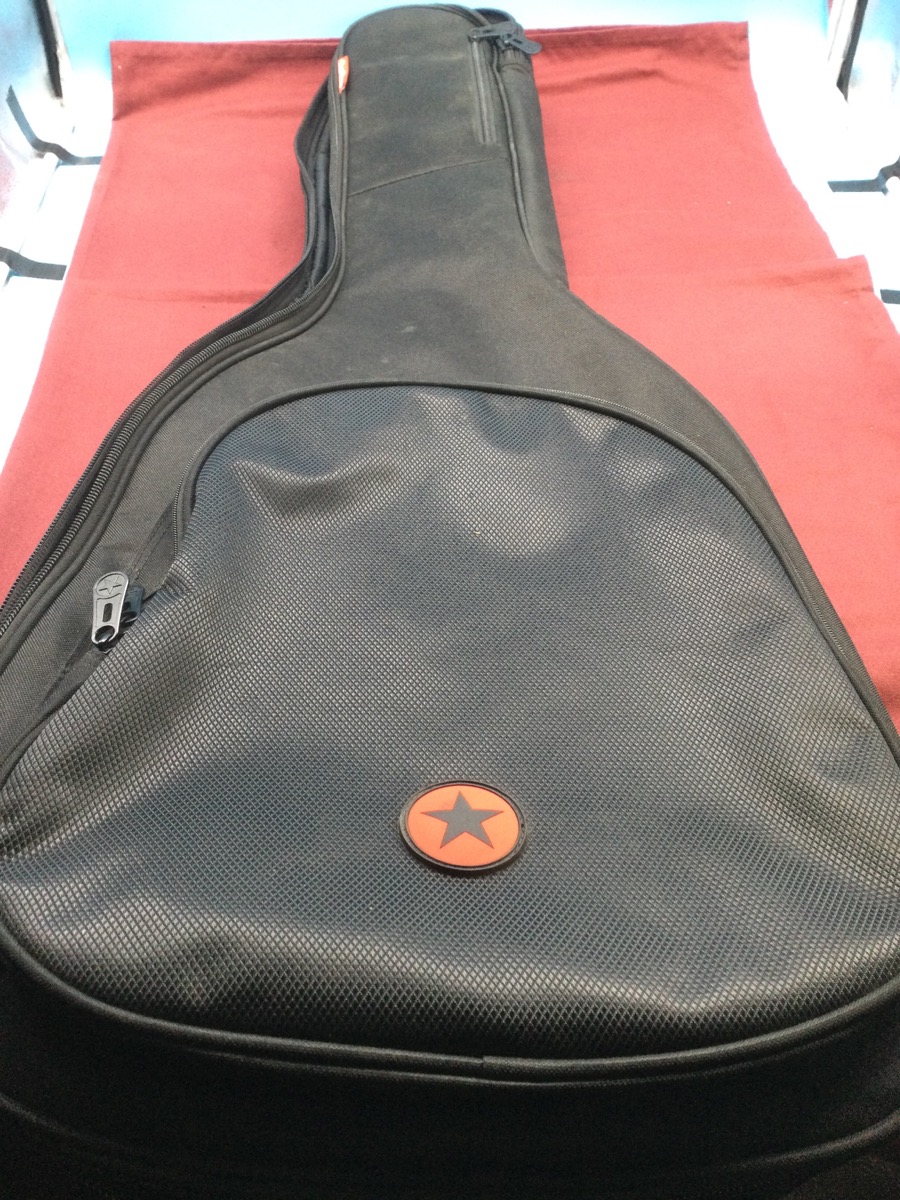 Washburn EA15 Electric-Acoustic Guitar with Gig Bag photo 7