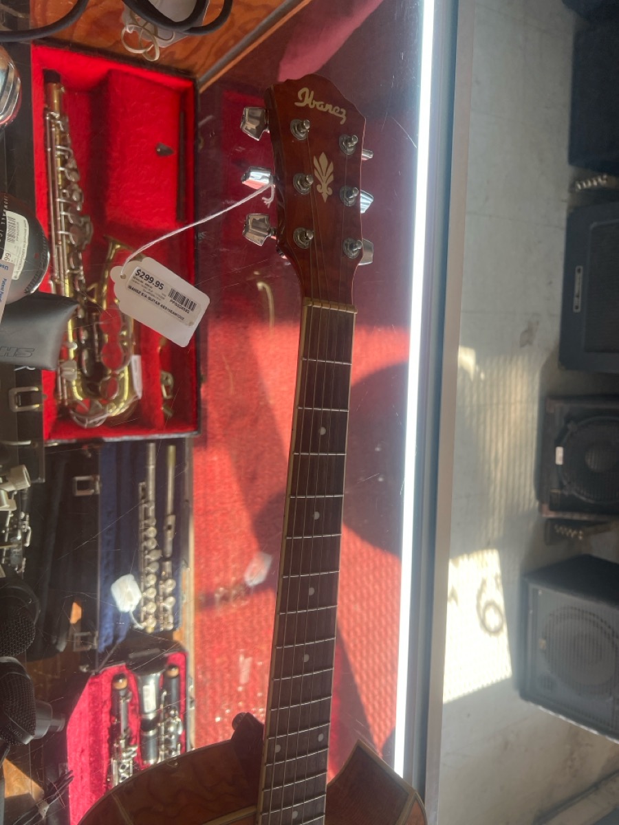 Acoustic Guitar Ibanez Model AES10EAM1202 photo 2