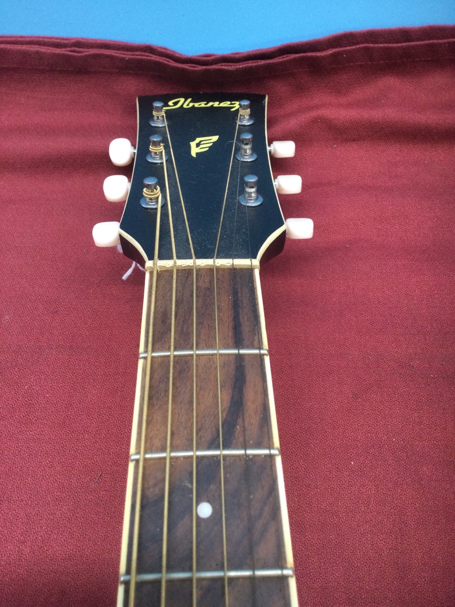 Ibanez Electric-Acoustic Guitar SGT220 photo 3